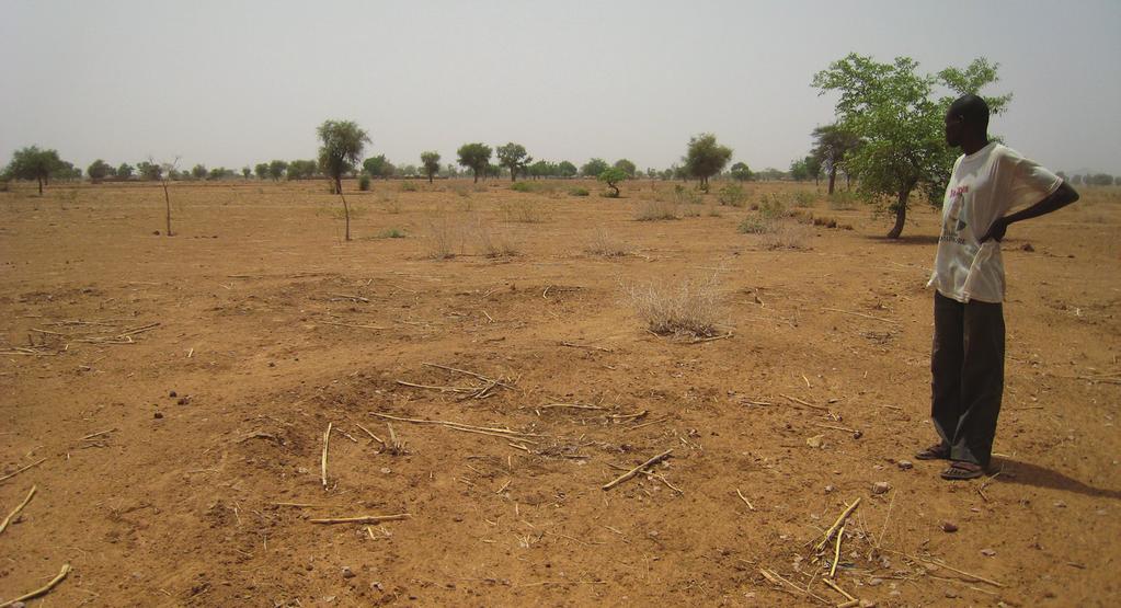 Lesson 1 The Multiple Dimensions of Tenure Insecurity in Burkina Faso 3 TENURE INSECURITY AND LAND CONFLICT IN BURKINA FASO Burkina Faso is a heavily agrarian economy, with 85% of the population