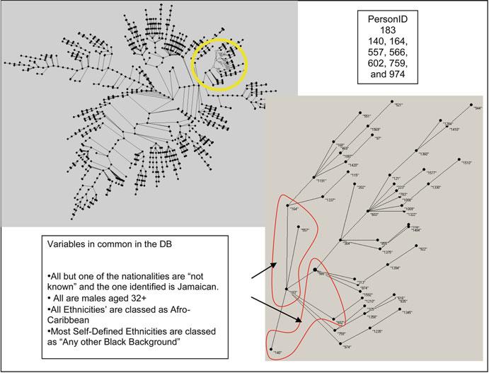 17 Auto-Contractive Maps and Minimal Spanning Tree: Organization... 409 Fig. 17.