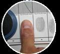 Biometric aspect The International