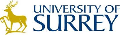 University of Surrey) DP 06/10 Department of Economics University of Surrey Guildford Surrey GU2