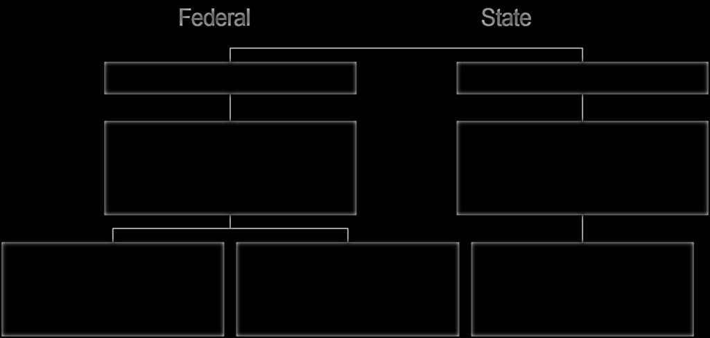 Structure of the Court System Federal State United States Supreme Court State Supreme Courts Unites States Courts of Appeals First Circuit through Eleventh Circuit D.C. Circuit Federal Circuit State Intermediate Appellate Courts U.