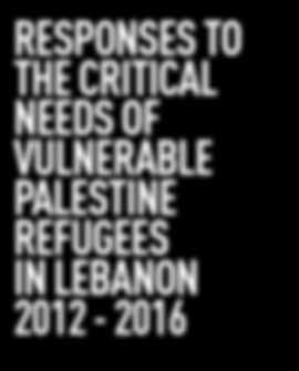 VULNERABLE PALESTINE REFUGEES IN LEBANON 28