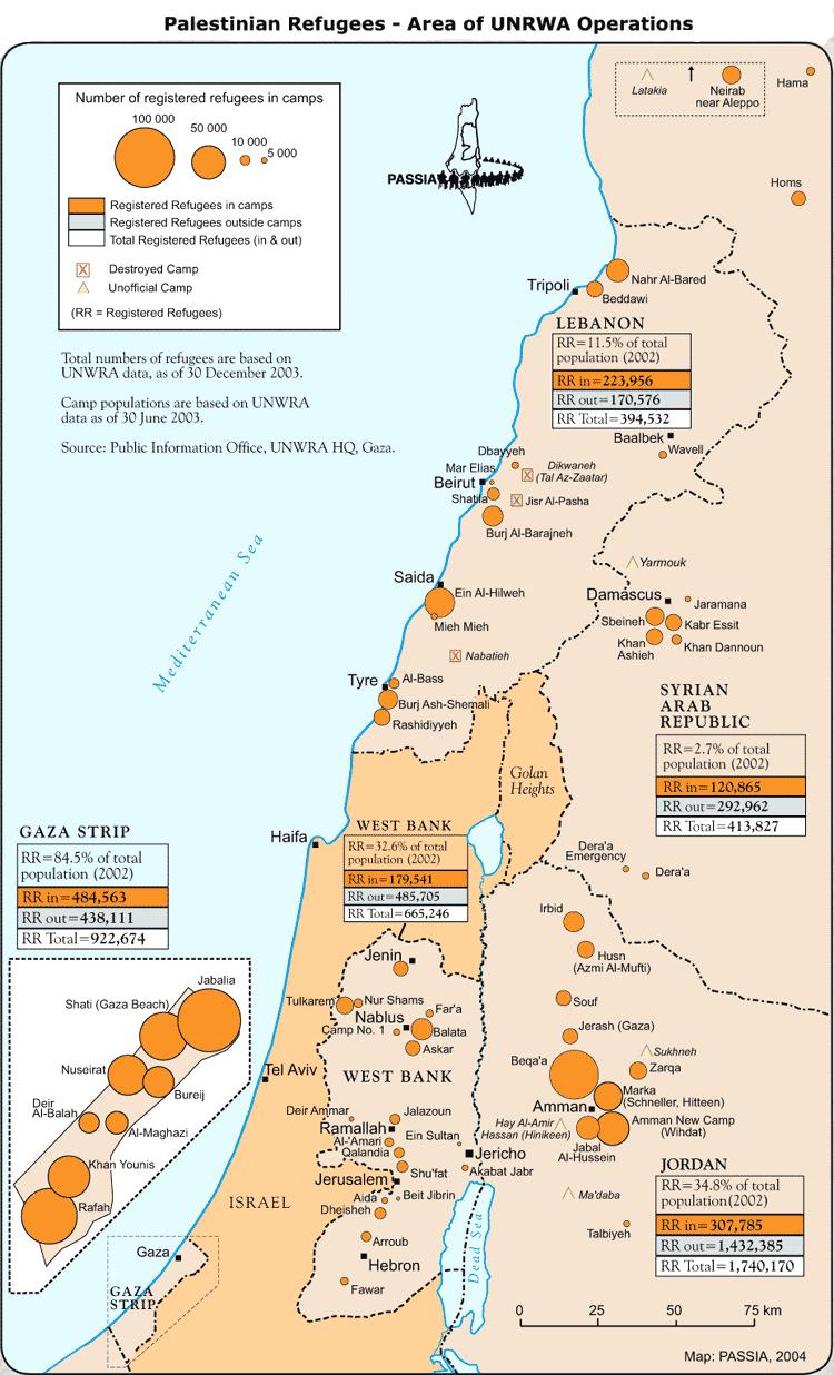 Palestinian Refugees About half (700,000) of the Palestinians fled their homes or were expelled.