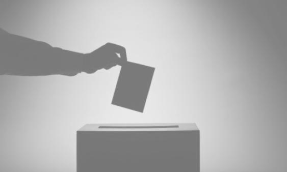 Federal Party Accessible Voters