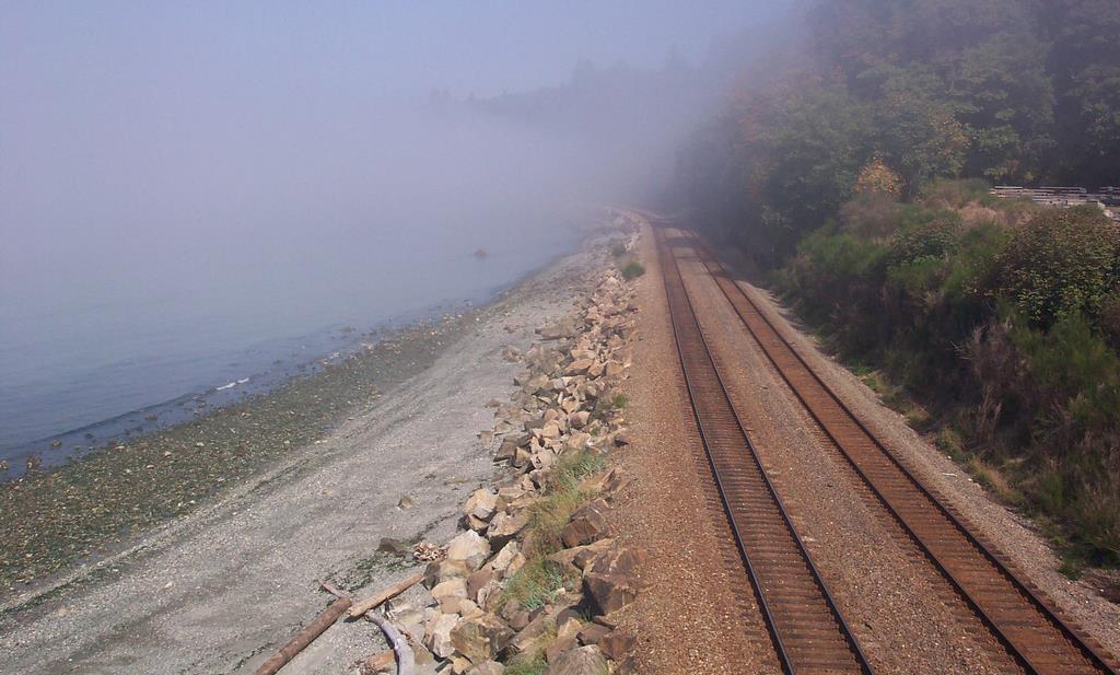 4 BNSF tracks in the mist at Carkeek by