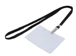 Identifying Lanyard Colors Authorized Visitor Democratic Party Election Judge Minor Party Election Judge Poll