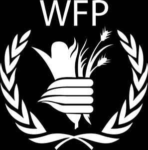 The fd security chapter has been authred by Riham Abuismail, Hazem Alhamdy and Linda Badawy frm WFP.