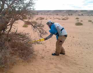 CLUSTER MUNITION REMNANTS - OTHER AREAS > Morocco is strongly encouraged to provide cluster strike data to the UN or humanitarian demining organisations to facilitate survey and clearance of CMR.