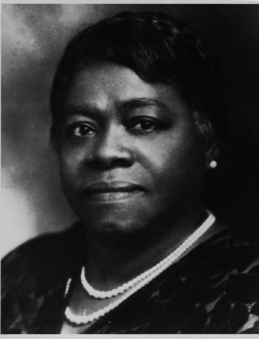 AFRICAN AMERICANS GAIN POLITICAL Status FDR appointed over 100 African Americans to positions within the government Mary McLeod