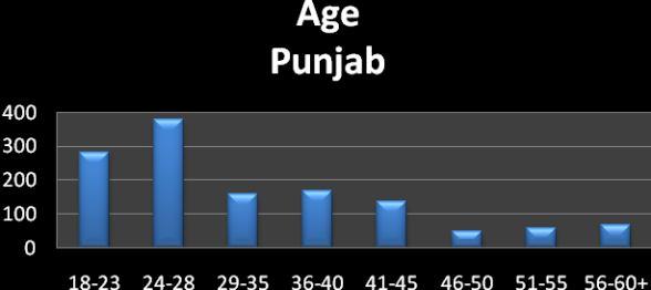 In Punjab, majority of the respondents were from the age bracket of 24-28 (29.2%).