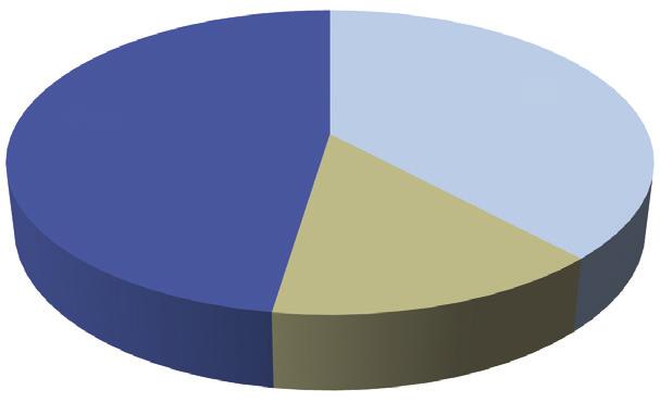 48% 14% 38% Graph 3: Realization of the Committee Work Plan for 2013 Source: MANS data collected through session monitoring Implemented Partially implemented Unimplemented Most of the planned
