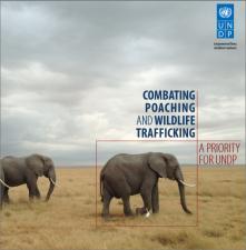 Linkages between corruption and wildlife