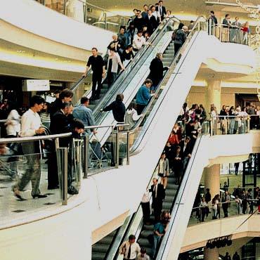 The Escalators: What has happened over time?