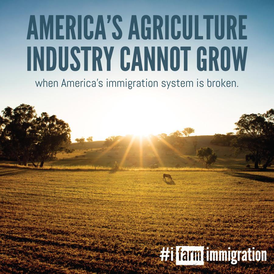 ENGAGE ON SOCIAL MEDIA #ifarmimmigration Use the official hashtag #ifarmimmigration in all of your posts to connect your content to the broader conversation, making it easier for the immigration