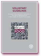 33 of 45 The Right to Food Guidelines Approved by the FAO Council in November 2004 Important political progress (definition of the right to food, promotion of international standards, stakeholders)