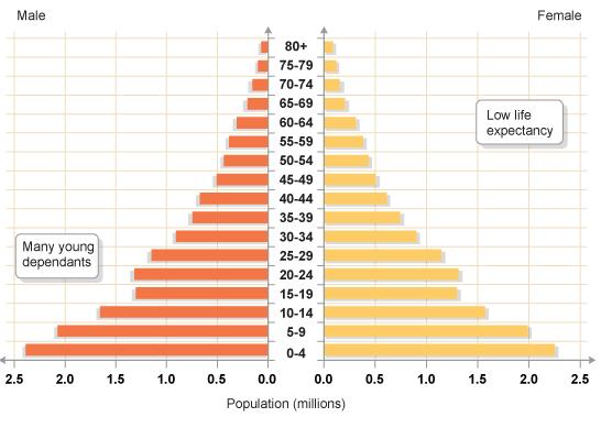 Population Pyramids A country s population structure can be displayed on a bar graph called a