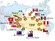 Economic Diplomacy Special Feature Trans-Pacific Partnership (TPP) Agreement On October 5, 2015, the s for the Trans-Pacific Partnership (TPP) reached an agreement in principle, which was signed in