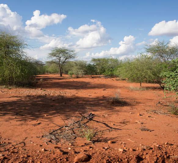 AFRICA S INNOVATIVE RESPONSE TO LAND DEGRADATION Financing development is a topic that poses challenges at all levels, especially as it is central to implementation of regional and global development