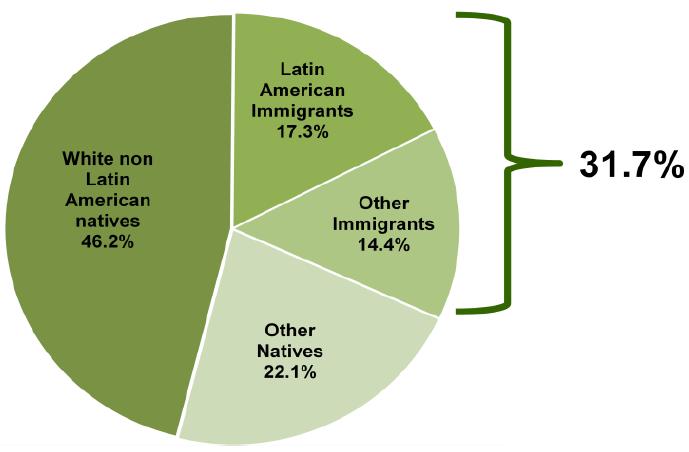 FIGURE 6. THE CONTRIBUTION OF WORKER ETHNICITY AND MIGRATORY STATUS TO GDP GROWTH UNITED STATES, 2000-07 Source. Puentes, R., Canales, A., Rodríguez, Delgado-Wise and Castles, S.