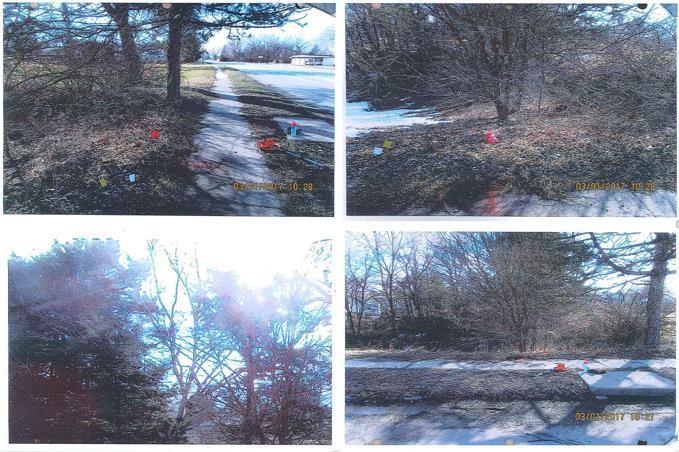 The following pictures of the property located at 288 South 4 th Street were viewed and discussed. The trees are basically the problem as they have not been maintained.
