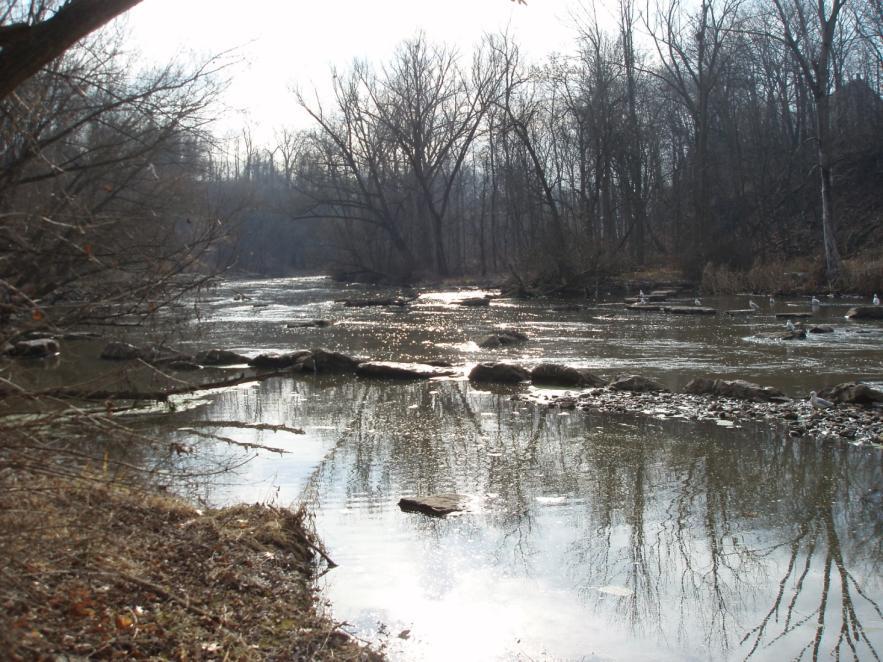 18-Mile Creek Site Site in Lockport, NY Sediment contains PCBs, mercury, lead copper, pesticides and dioxin