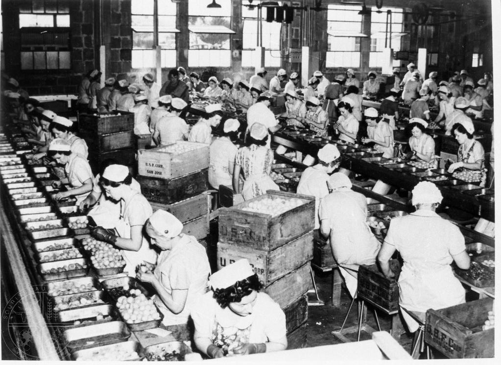 [80] The Post War-1970s, Women Cannery Supervisors. From 1948 to the 1970s, Mexican-Americans were the largest ethnic group of women cannery workers.