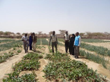FUNDING USD 40 millin requested fr the peratin Funded 6% UNHCR and its partner ADES visit a restred vegetable garden patch t supprt incmegenerating activities f wmen in Timbuktu.