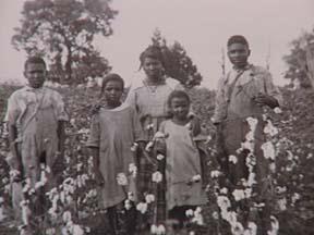 SHARECROPPING AND TENANT ARKANSAS SHARECROPPERS FARMING Without land of their own, Southern African Americans could not grow their own