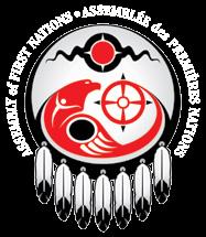 Assembly of First Nations 55 Metcalfe