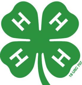 4-H Club Meeting Checklist Use this check list to do a quick evaluation of your 4-H club s meeting.