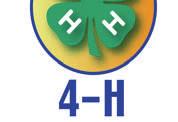 GOLD Clover Club will receive a Gold Clover Certificate and name printed in the 4-H newsletter.