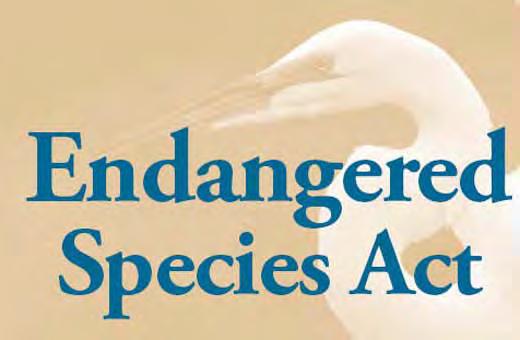 Endangered Species Act (1973) Organization put in