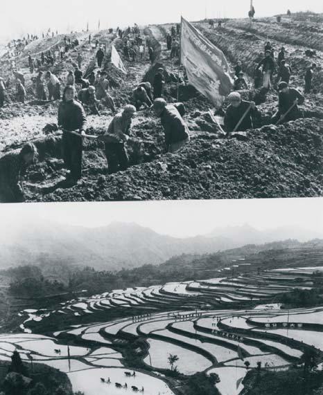 17 Mao s China, c.1930 76 18 Dazhai is famous because of the way its 365 people have set an example by carving out terraced fields from steep, stony hillsides.