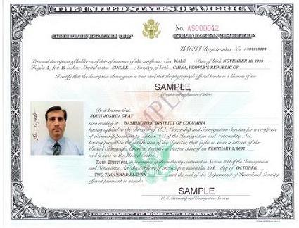 What it Looks Like - Certificate