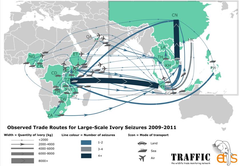 Figure 11: Observed trade routes for large-scale ivory seizures, 2009-2011 (ETIS 25 January ) In sharp contrast, in Figure 12, Thailand does not register as part of any trade chains for large