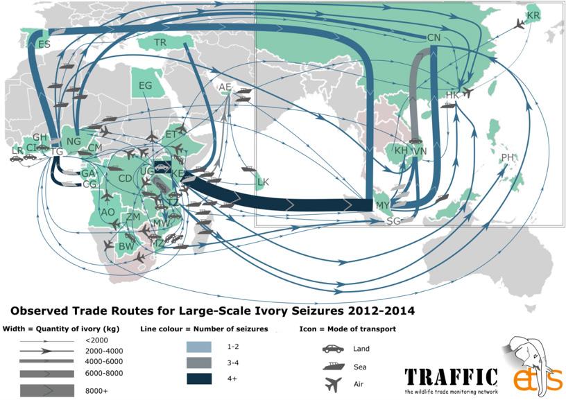 Figure 12: Observed trade routes for large-scale ivory seizures, 2012-2014 (ETIS 25 January ) In, movements of raw ivory to Thailand once again resumed but with a notable caveat.