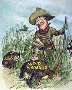 TR Takes on the Trusts President Theodore (Teddy) Roosevelt