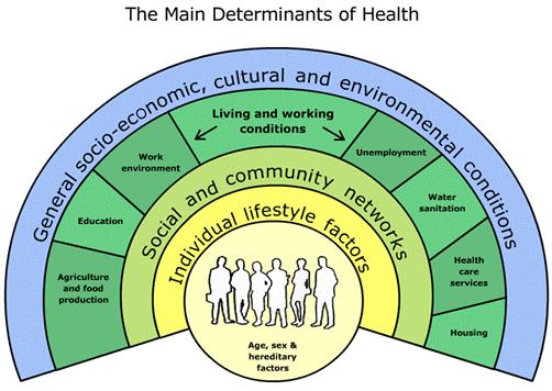 There have been several different determinants of health frameworks proposed.