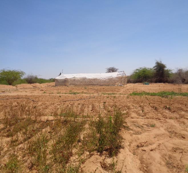 Tract of agricultural land in Humbaweyn UNHCR/Ibrahim J.
