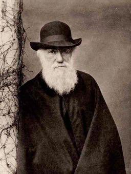 How might Darwinian theory be applied to society, and will