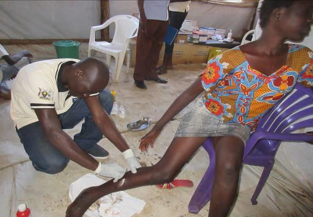 RMF staff treating a wound that has long troubled this