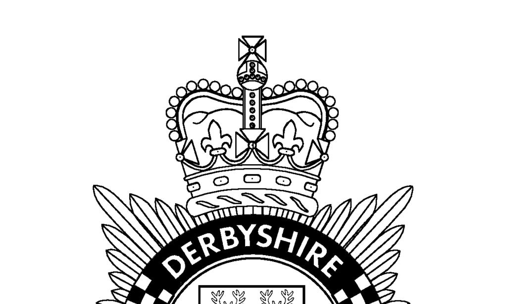 Derbyshire Constabulary TERMS OF REFERENCE FOR THE FORCE &