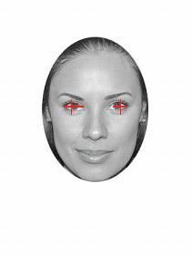 Biometrics Facial Recognition Workflow 1.