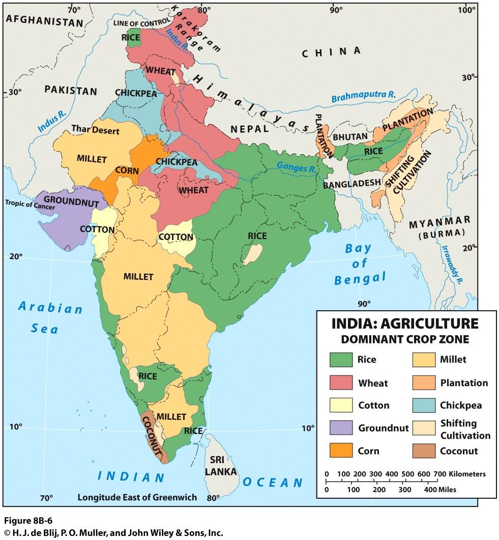 Life is in the Harvest Agricultural economy India: Giant of the Realm Provides bulk of jobs Economic Geography Dependent on