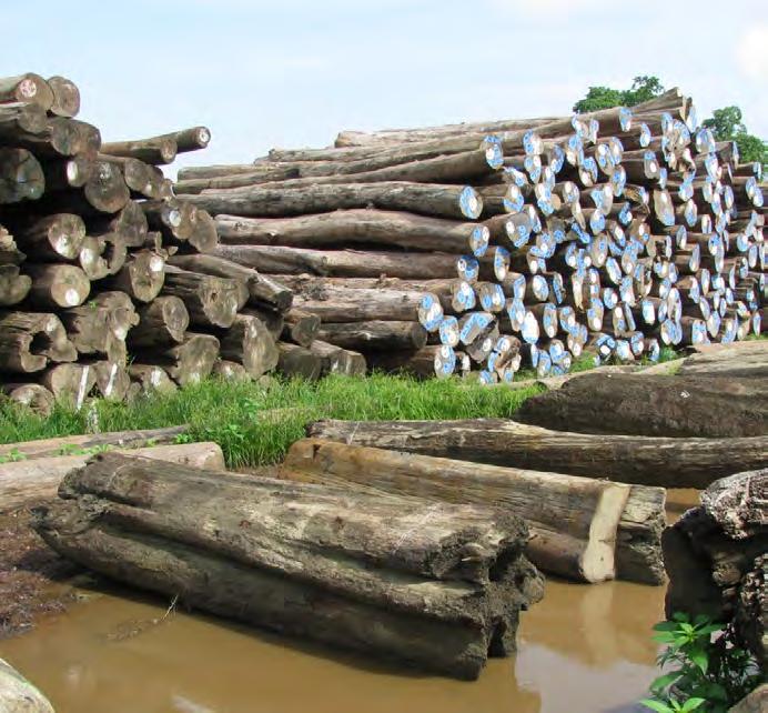 Ethnic Nationalities at the Crossroads Logging yard from the Myanmar Timber Enterprise (MTE) which state media said occurred on 28 May, allegedly by three other Muslim men.