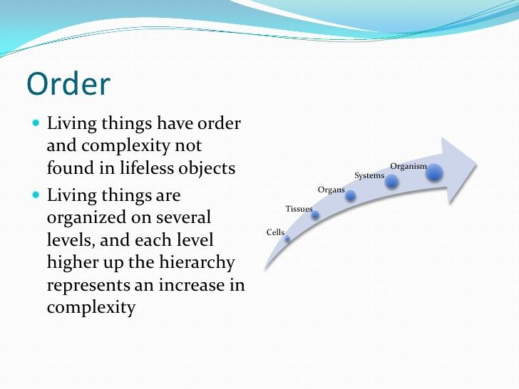Order Life has nested levels of organization Specific organization of
