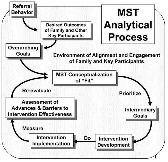 SCOTT W. HENGGELER 185 Figure 2. mentation reviews (e.g., problem solving organizational and stakeholder barriers to implementation), and support for program and agency leadership.