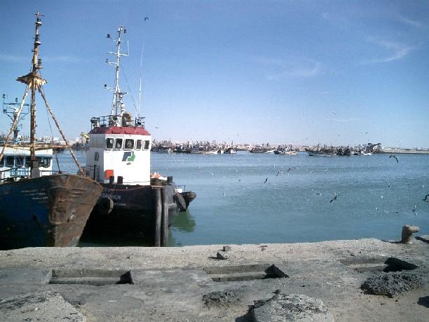 Laayoune s port is home to dozens of fishing boats.