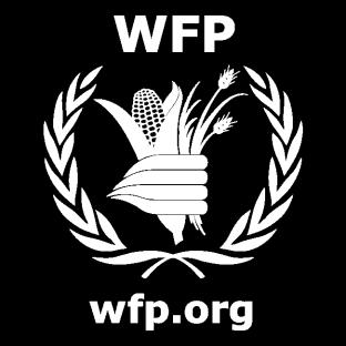 2013 WFP
