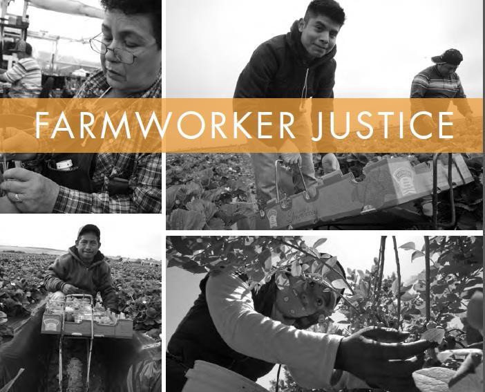 Farmworker Justice is a nonprofit organization that seeks to empower migrant and seasonal farmworkers to improve their